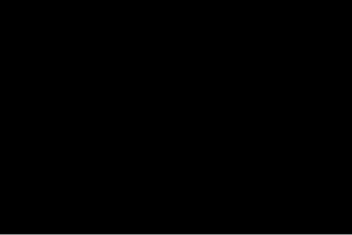 Bandeira: Território Livre (Makhnovshchina)