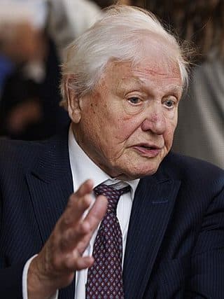 Retrato: David Attenborough