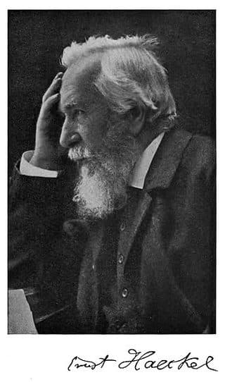 Retrato: Ernst Haeckel