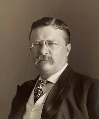Retrato: Theodore Roosevelt
